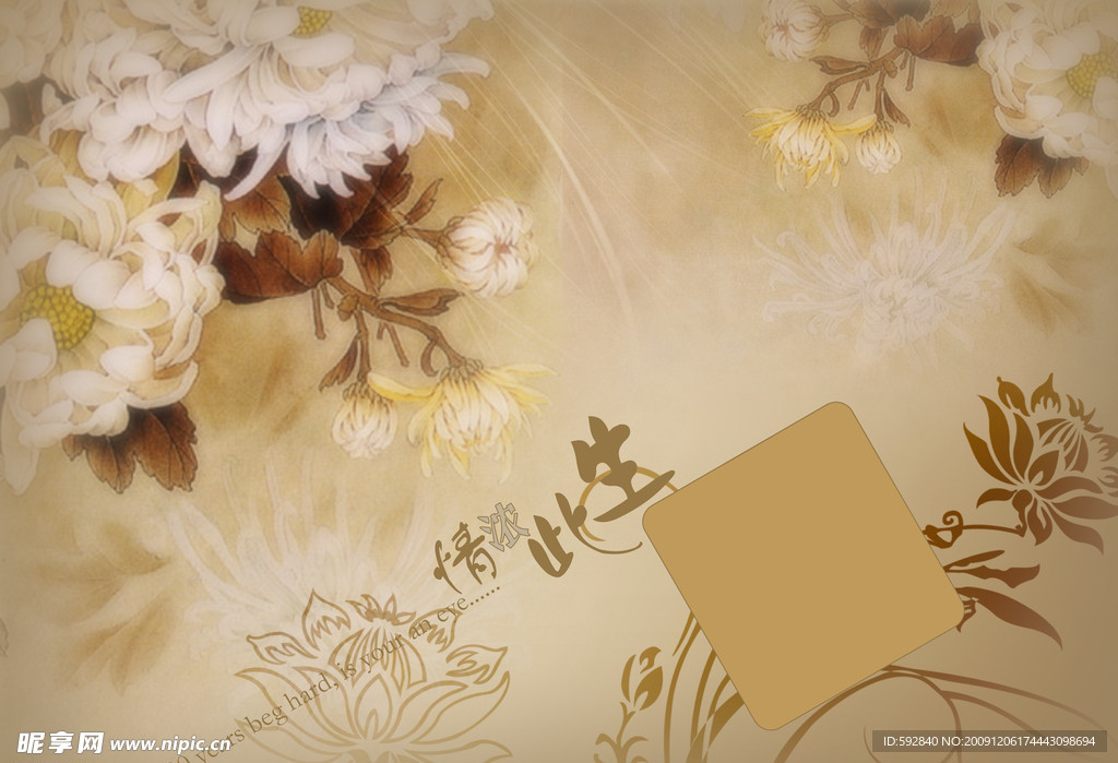 个性婚纱