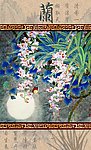 国画兰花