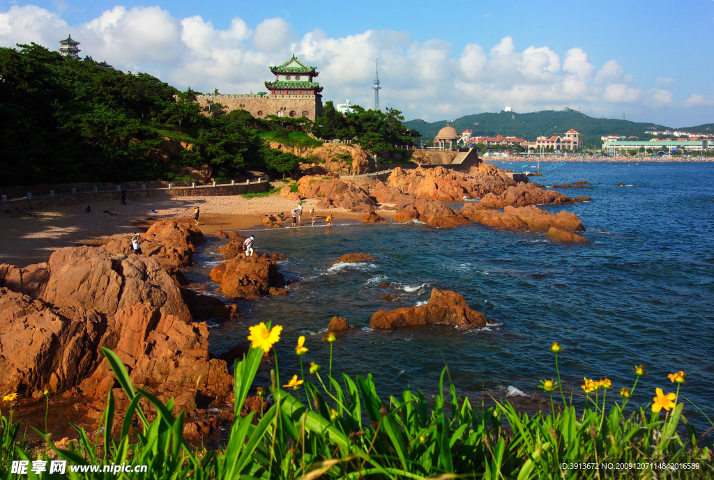 青岛鲁迅公园