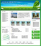 绿源 树叶