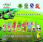 大米广告设计