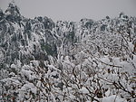 雪景