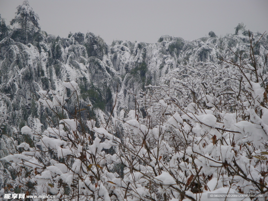 雪景