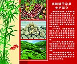 简介