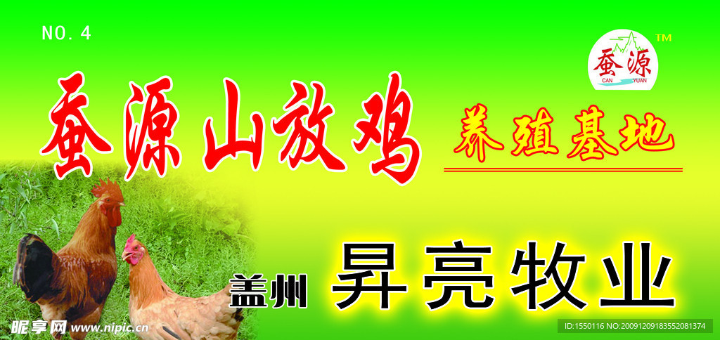 蚕源山放鸡