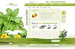 韩国绿色清新网页模板 PSD