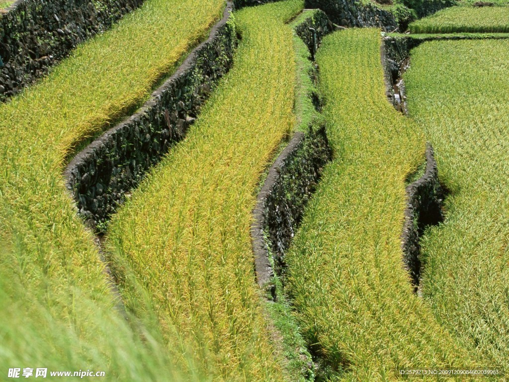 风景图