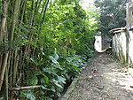 乡村小道