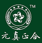 元真正合