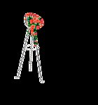 花台