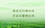 茶田背景设计