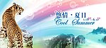 上山虎