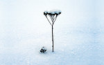 雪景图片