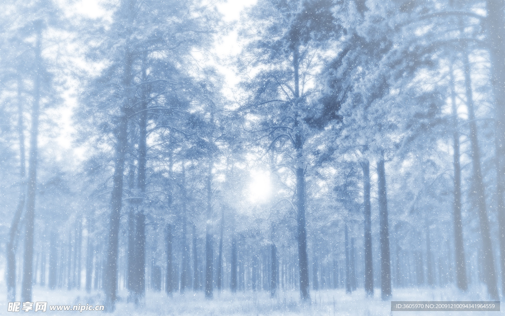 雪林风光