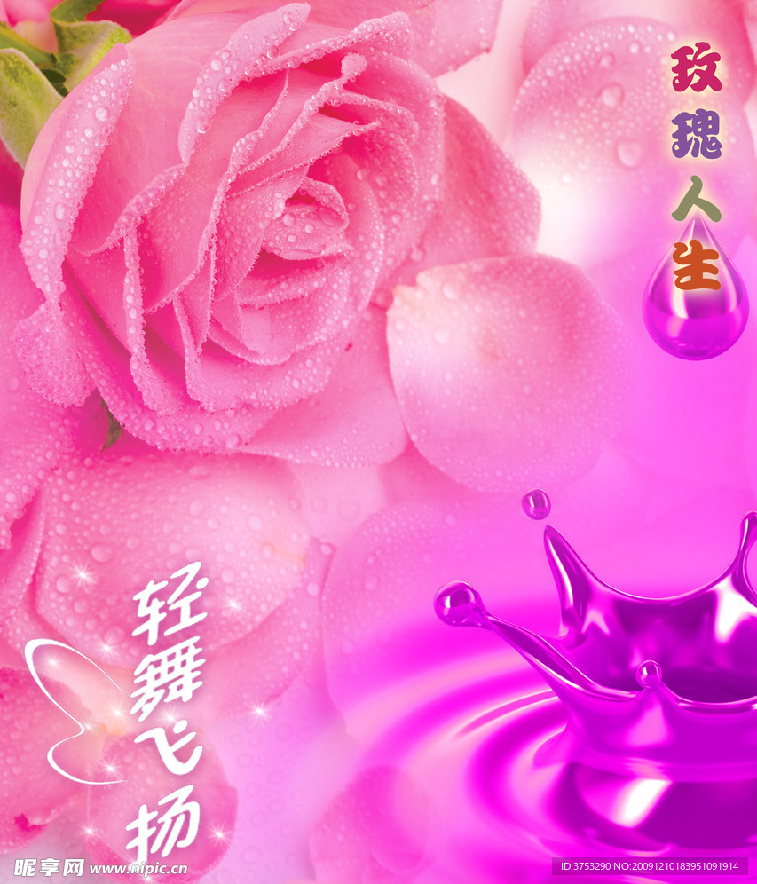 粉红玫瑰