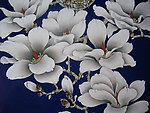 白玉兰