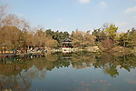 西湖美景