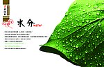 长寿巴马画册
