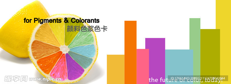 网页素材 高楼大厦 flash素材 色卡