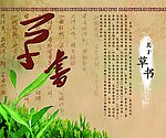草书