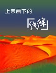 上帝画下的线条