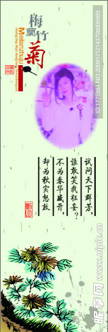 梅兰竹菊（菊）