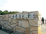 厦门