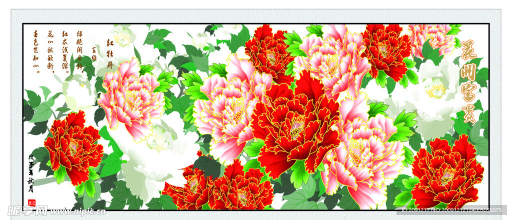 牡丹花