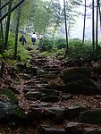 茶山10