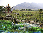 金沙泉