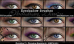 眼影笔刷SS eyeshadow