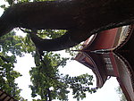 岳麓书院