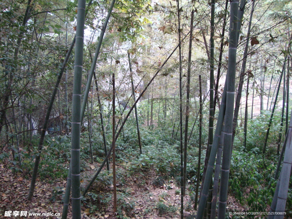 岳麓书院