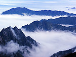 大岭云海
