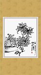 雅菊系列19