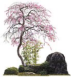 景观设计