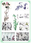 国画 梅兰竹菊 条屏