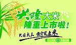 兴隆大米