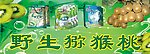 野生猕猴桃