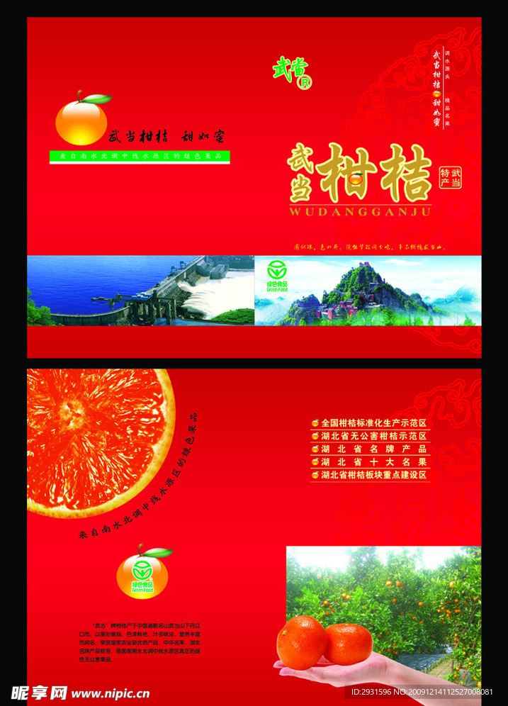 柑桔宣传单