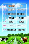 奶牛宣传广告