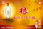 泸州老窖根酒