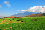 凉山风光