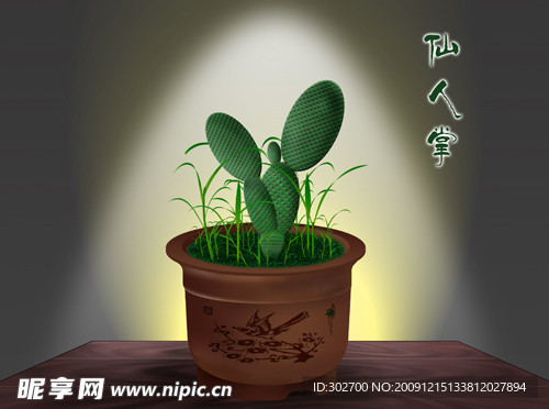 手绘仙人掌