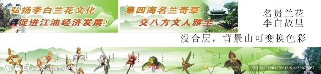 李白故里江油名贵兰花