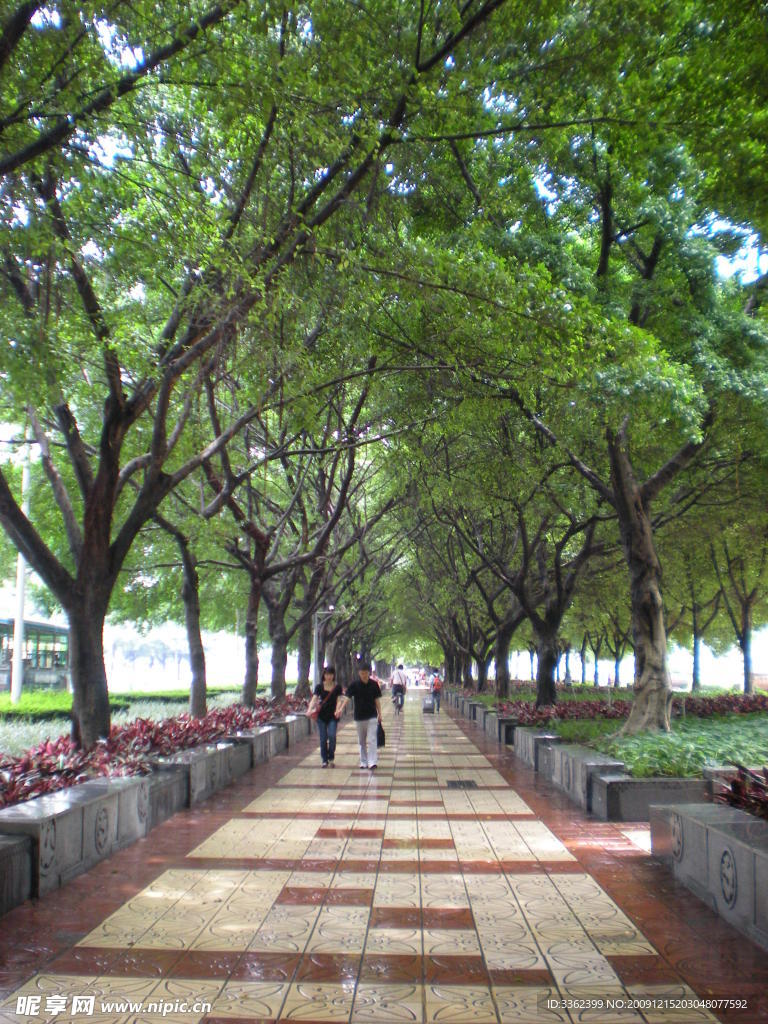 街道 长廊 道路 小道 春天