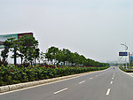 大道绿化 道路 公路