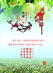 金溪县 琅琚镇