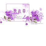 薰衣草
