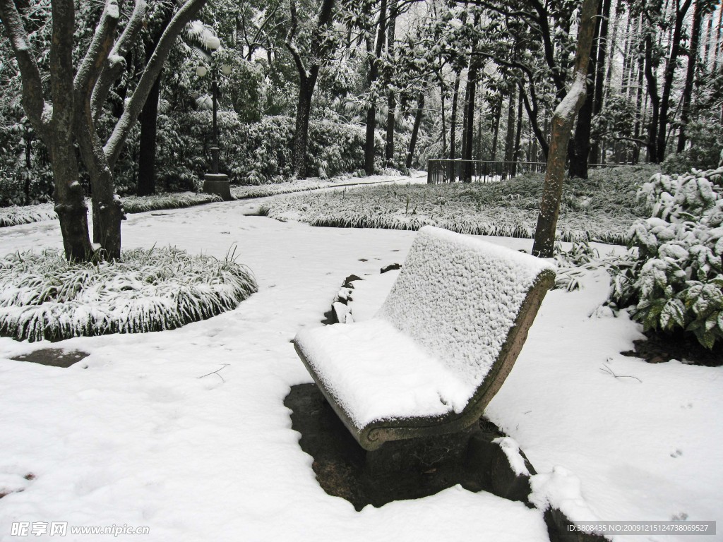 公园冬景